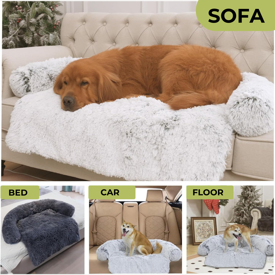 Couch Bed for Pets