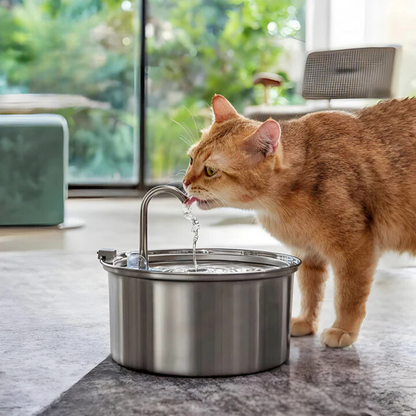 Cat Water Fountain