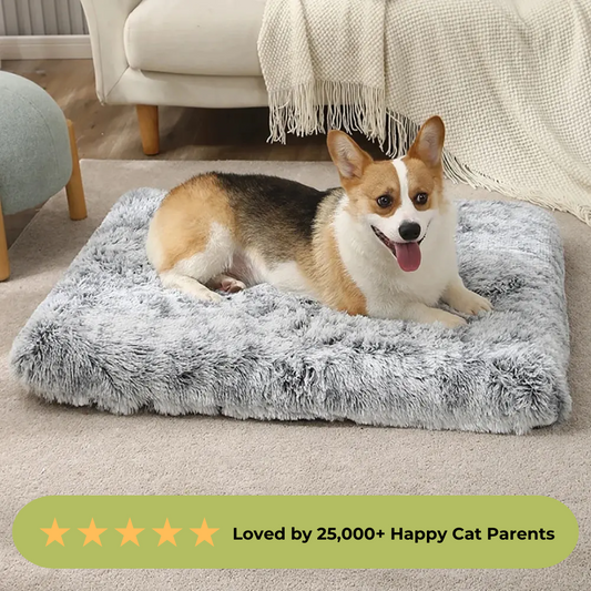 Plush Pet Bed