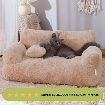 Cat Couch Sofa Bed