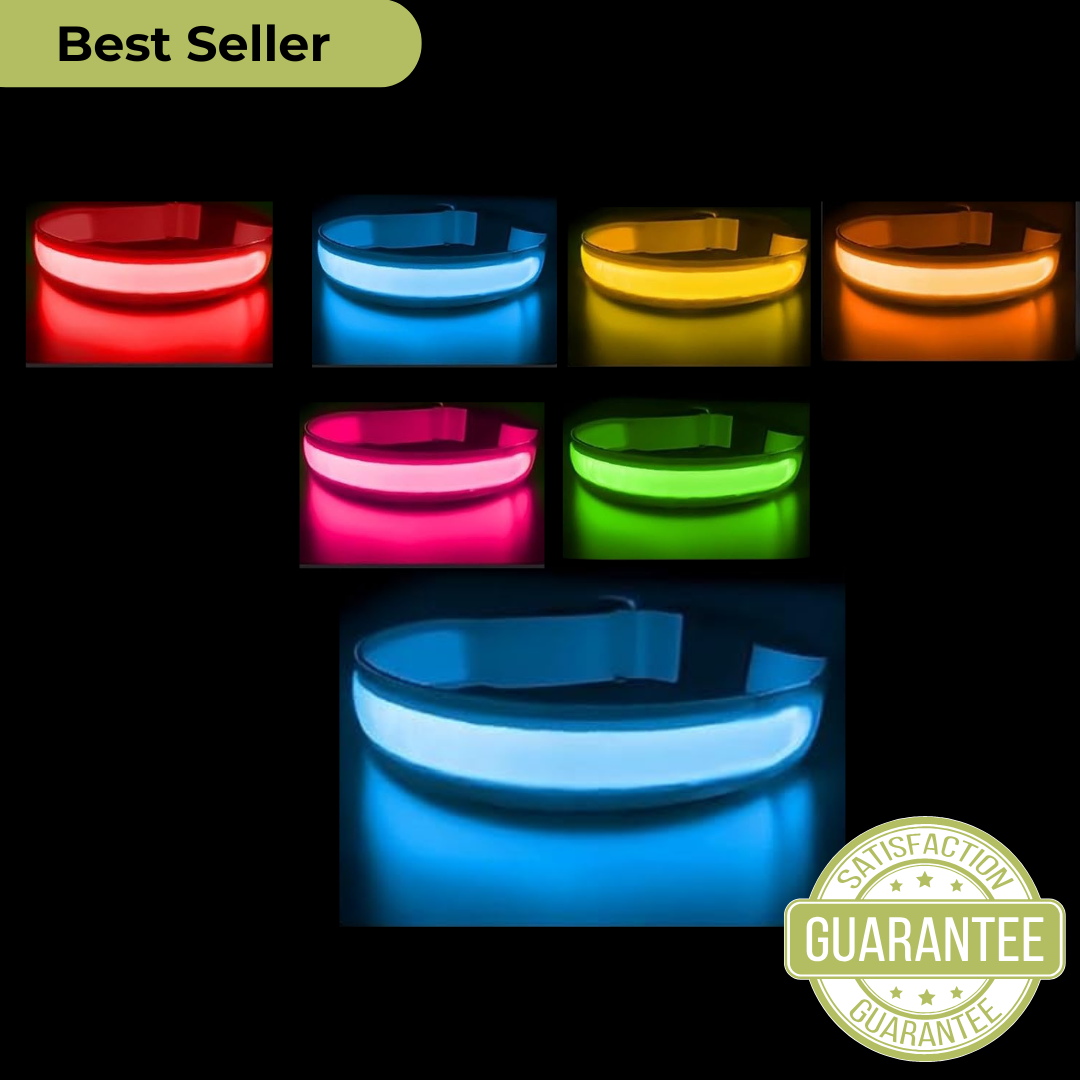 Glowing Dog Collar