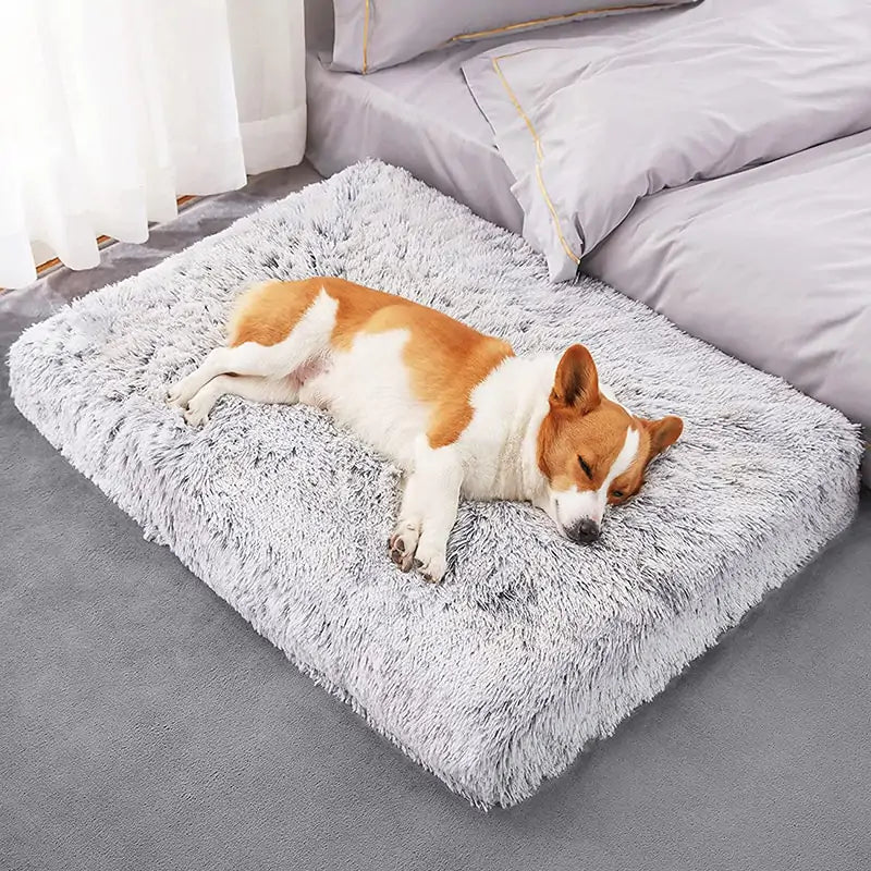 Plush Pet Bed