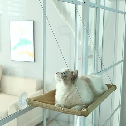 Cat Hanging Window Hammock