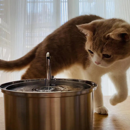 Cat Water Fountain