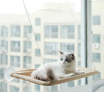 Cat Hanging Window Hammock